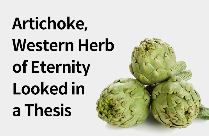 [Effects of Artichoke] Western Herb of Eternity? 3 Benefits of Articho