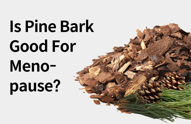 [Effects of Pycnogenol] 3 Benefits of Pycnogenol, From Menopause to Bl