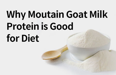 [Effects of Mountain Goat Milk Protein] Helps Loss Weight? 3 Benefits of Mountain Goat Milk Protein