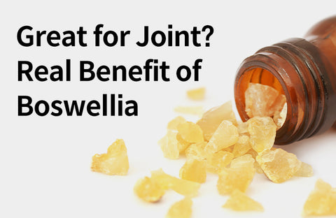 [Effects of Boswellia] From Osteoarthritis to Chronic Inflammation, 3 Benefits of Boswellia