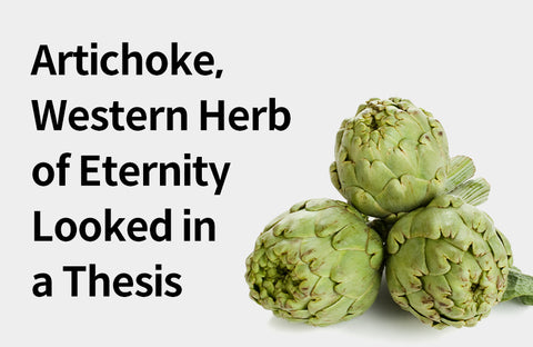 [Effects of Artichoke] Western Herb of Eternity?  3 Benefits of Artichoke