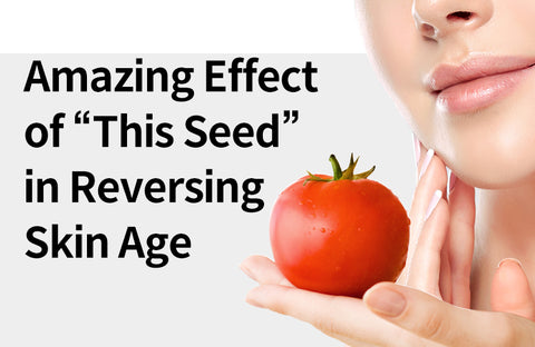 [Effects of Tomato Seed Extract] Dark Horse of the Inner Beauty World, Following Collagen and Elastin