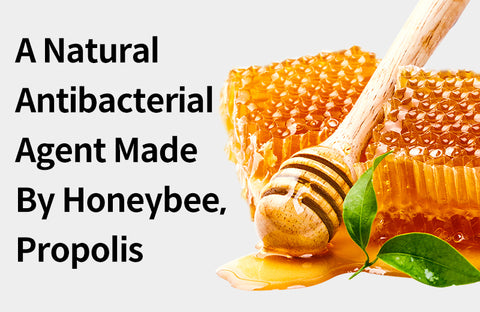 [Effects of Propolis] 3 Benefits of Propolis,  a Natural Antibacterial Agent Made by Bees