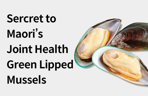 [Effects of Green-lipped Mussel] 3 Benefits of Green-lipped Mussels, Maori’s Secret to Joint Health