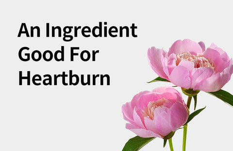 [Effects of Peony Extract Complex (HT074)] A Specialist in Heartburn? Benefits of Peony Extract