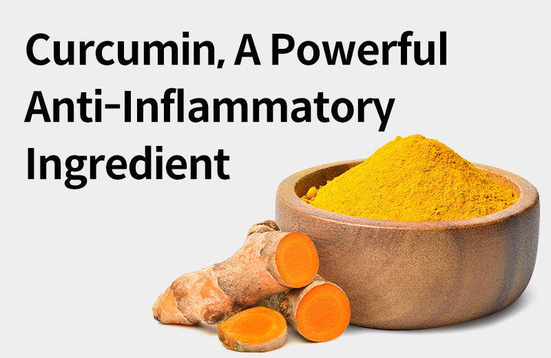 [Effects of Curcumin] 3 Effects of Curcumin to Combat Chronic Inflamma