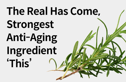 [Effects of Rosemary Extract Complex (SunMax] Improves Wrinkle? 3 Benefits of Rosemary Extract