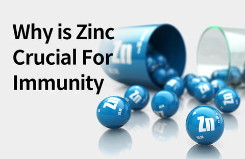 [Effects of Zinc] 3 Reasons Why Zinc is Essential for Immunity