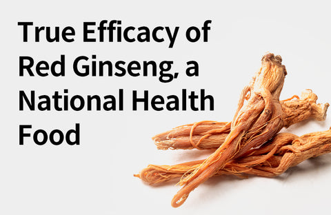 [Effects of Red Ginseng] From Immunity to Fatigue and Memory Improvement, 3 Benefits of Red Ginseng