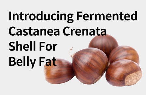 [Effects of Fermented Castanea Crenata Shell] From Abdominal Fat to Antioxidant, 3 Benefits of Fermented Castanea Crenata Shell