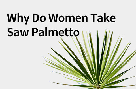 [Effects of Saw Palmetto] From Prostate Health to  Hair Health. Benefits of Saw Palmetto.