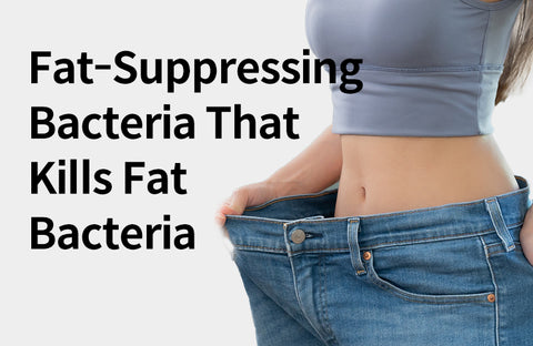 [Effects of Lactobacillus Complex] 3 Benefits of  Fat-Inhibiting Bacteria Targeting Fat Bacteria