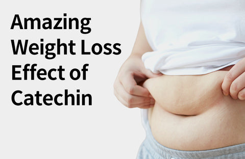 [Effects of Catechin] From Diet to Adult Disease Management, 3 Benefits of Catechin