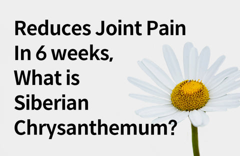 [Effects of Siberian Chrysanthemum] 3 Benefits of Siberian Chrysanthemum for Relieving Joint Pain