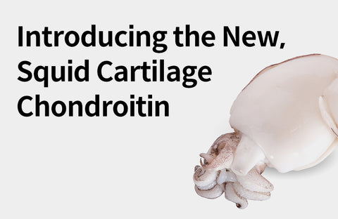 [Effects of Squid Cartilage] From Joint Cartilage to Bone Health, 3 Benefits of E-type Chondroitin