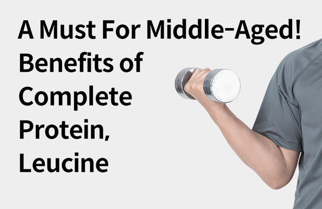 [Effects of Leucine] A Complete Protein that Aids Muscle Synthesis