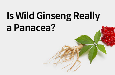 [Effects of Wild Ginseng] 3 Benefits of Wild Ginseng  Proven in Modern Medicine