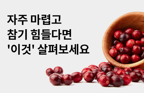 [Efficacy of cranberry] Is it good for urinary tract health? 3 Benefits of Cranberries