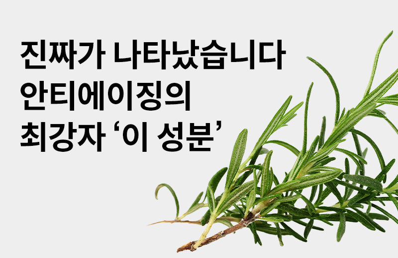 [Efficacy of Rosemary Extract Complex (SunMax)] Wrinkle improvement? 3 Benefits of Rosemary Extract
