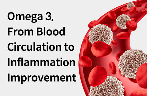 [Effects of Omega3] From Blood Circulation to Inflammation Improvement, 3 Benefits of Omega 3