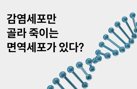 What is the identity of NK cells that only kill infected cells?