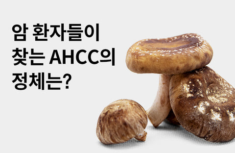 [Shiitake mushroom mycelium AHCC efficacy] Cancer patients are looking for 3 benefits of AHCC