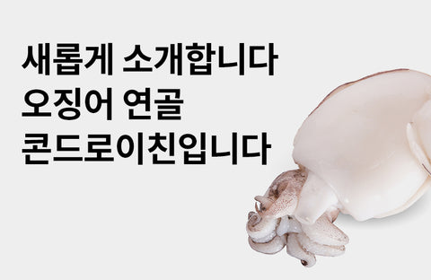 [Squid Cartilage Benefits] Joint cartilage as well as bone health, 3 benefits of squid cartilage E-type chondroitin