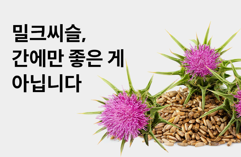 Milk Thistle is not only good for the liver