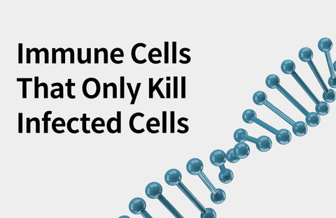 [Effects of NK Cell] What are NK cells that selectively kill infected cells?