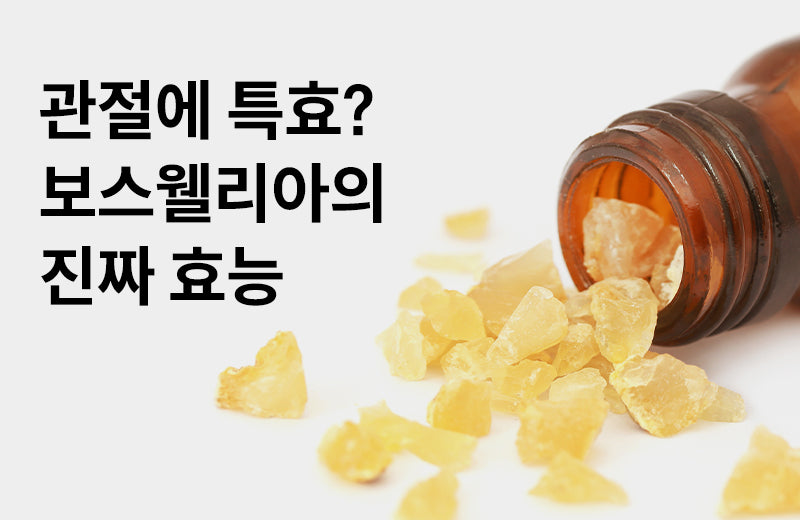 [Boswellia Efficacy] From osteoarthritis to chronic inflammation, the three benefits of Boswellia