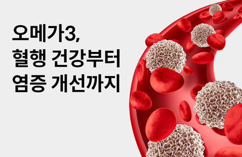 [Efficacy of omega 3] 3 benefits of omega 3, from blood circulation health to inflammation improvement