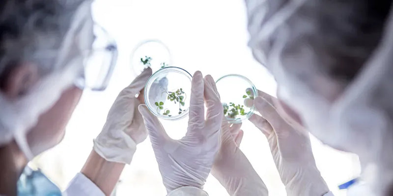 Ingestible Skincare: The Inner Beauty Routine for Glowing Skin