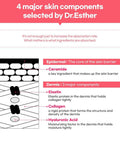 ESTHER FORMULA Elastin & Collagen films (Collabs)