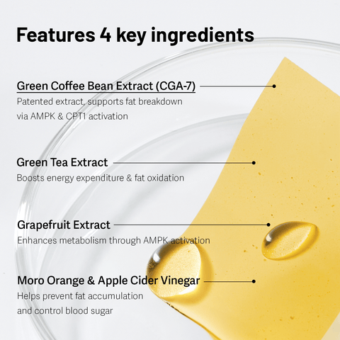 ESTHER FORMULA Green Coffee Bean Direct