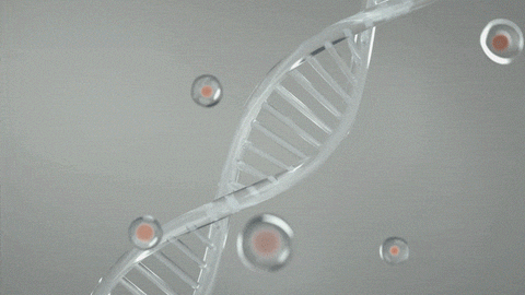 ESTHER FORMULA Salmon DNA Salmon DNA Direct Film Freckles Pores Wrinkle Face Skincare Supplement